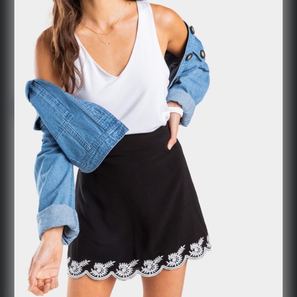 Embroidered mini skirt